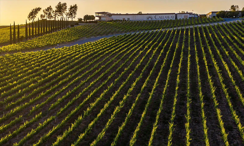 Callaway Winery in Temecula, CA