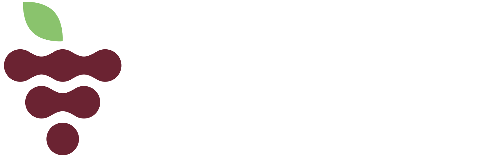 Temecula Wine Tour Limo Services